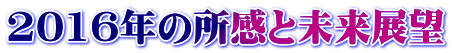 2016年の所感と未来展望