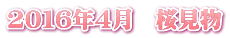 20１6年4月　桜見物